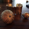 Urchin Ring in Brass